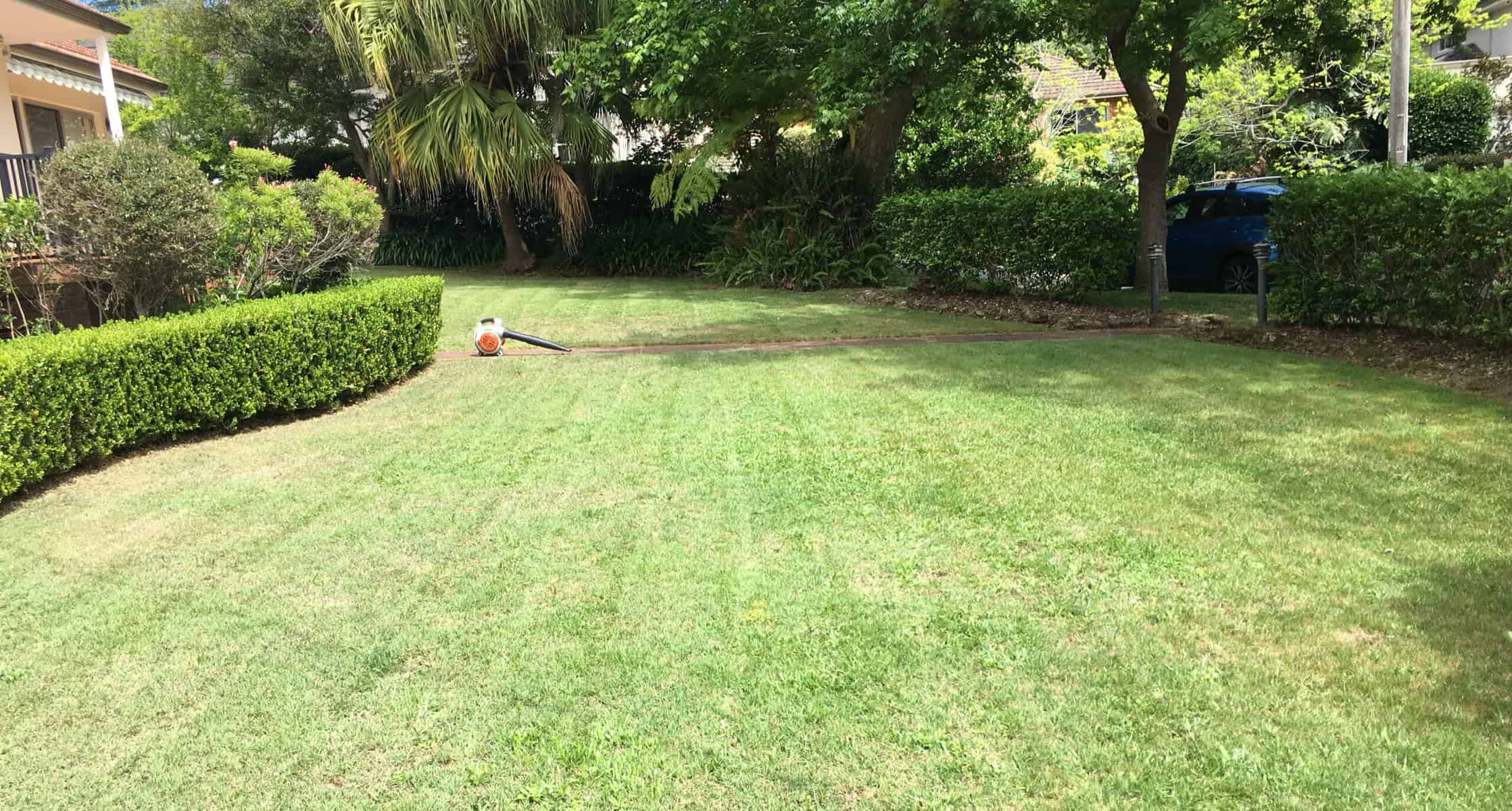 Professional lawn mowing hedging and garden maintenance in sydney